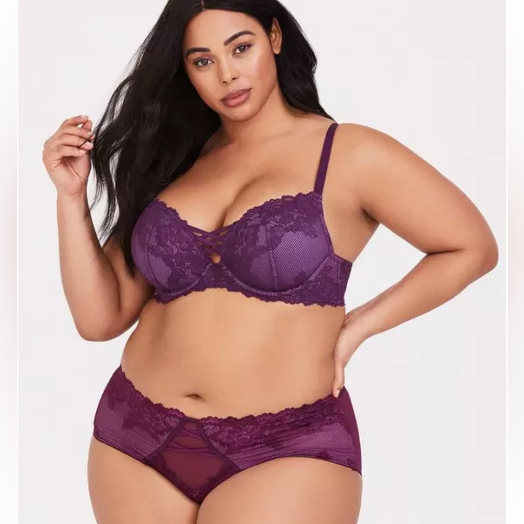 Ladies Torrid Microfiber And Mesh Cheeky Panty With Keyhole Back Size Xl